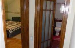 Casa cu 13 camere, 480 mp, 400 mp teren, partial mobilata, zona Andrei Muresanu!