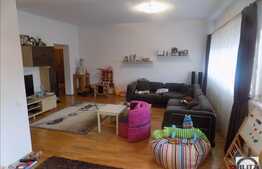 Casa cu 13 camere, 480 mp, 400 mp teren, partial mobilata, zona Andrei Muresanu!