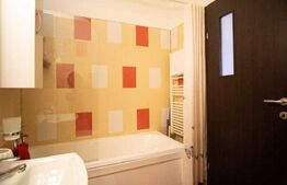 Apartament tip studio, 32 mp, complet mobilat, cu balcon, zona Piața 1 Mai