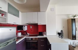 Apartament tip studio, 32 mp, complet mobilat, cu balcon, zona Piața 1 Mai