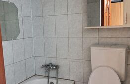 Garsoniera renovata, 18 mp, centrala proprie, zona Iris UTCN
