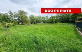 Teren intravilan de vanzare, 1.660 mp, zona Tohanita