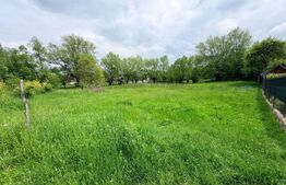 Teren intravilan de vanzare, 1.660 mp, zona Tohanita