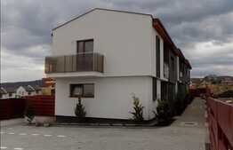 Duplex, 107 mp utili, 250 mp teren, zona Europa