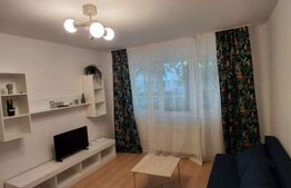 Apartament de 2 camere, renovat in 2025, 50 mp, parter, Astra