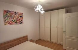 Apartament de 2 camere, renovat in 2025, 50 mp, parter, Astra