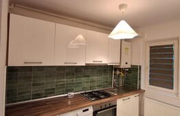 Apartament de 2 camere, renovat in 2025, 50 mp, parter, Astra