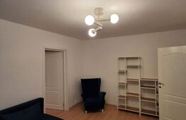 Apartament de 2 camere, renovat in 2025, 50 mp, parter, Astra