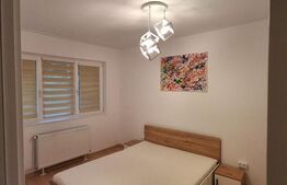 Apartament de 2 camere, renovat in 2025, 50 mp, parter, Astra