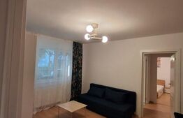 Apartament de 2 camere, renovat in 2025, 50 mp, parter, Astra