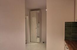 Apartament de 2 camere, renovat in 2025, 50 mp, parter, Astra