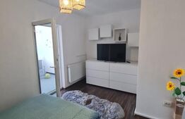 Apartament cu 2 camere, recent renovat, parcare, zona Florilor