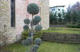 Casa individuala, 140 mp utili, teren 500 mp, zona linistita de case!