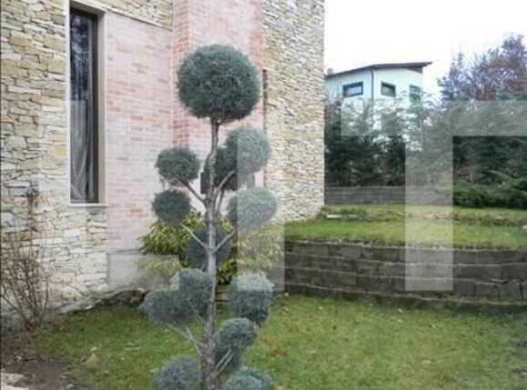 Casa de vânzare 3 camere Făget - 19586CV | BLITZ Cluj-Napoca | Poza5