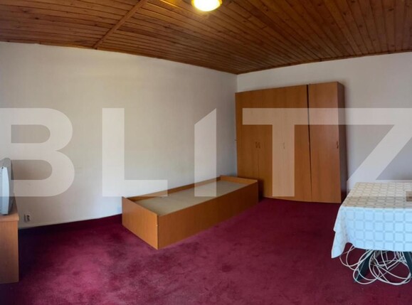 Spațiu comercial de vânzare Bran - 195963SVC | BLITZ Brașov | Poza4