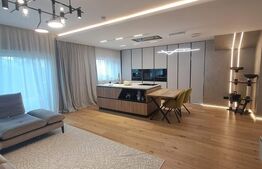 Casa individuala, 4 camere, 250 mp, P+M, zona Stupini