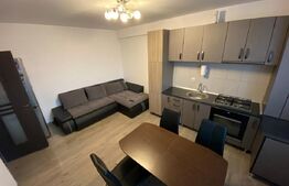 Apartament 2 camere, 45 mp, parcare, pet friendly, zona strazii Dunarii