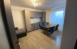 Apartament 2 camere, 45 mp, parcare, pet friendly, zona strazii Dunarii