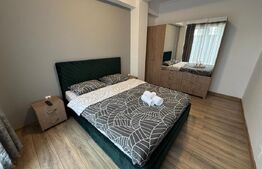 Apartament de inchiriat, 40 mp, Corneliu Coposu 
