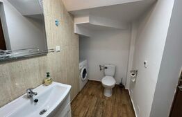 Apartament de inchiriat, 40 mp, Corneliu Coposu 