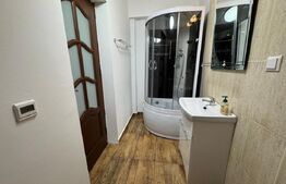 Apartament de inchiriat, 40 mp, Corneliu Coposu 