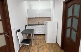Apartament de inchiriat, 40 mp, Corneliu Coposu 
