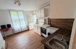 Casa de vanzare, Schei – ideala pentru investitie la 250m de Piata Unirii