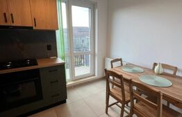 Apartament 2 camere la vilă – spațios, decomandat, liniște și confort