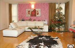 Casa cu arhitectura moderna in zona Andrei Muresanu