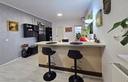 Apartament 2 camere Str. Stadionului, Zona Somesului COMISION 0%
