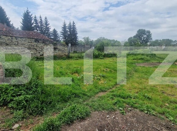 Casa de vânzare 3 camere Făgăraş - 196178CV | BLITZ Brașov | Poza1