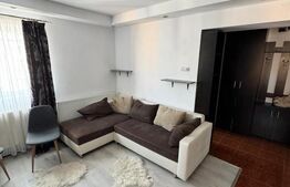 Garsoniera in acte,  26 mp, renovata, ideala pentru investitie, Craiter 