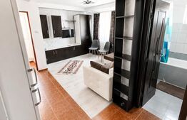 Garsoniera in acte,  26 mp, renovata, ideala pentru investitie, Craiter 