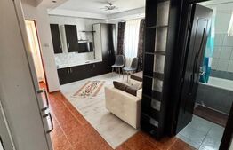 Garsoniera in acte,  26 mp, renovata, ideala pentru investitie, Craiter 