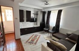 Garsoniera in acte,  26 mp, renovata, ideala pentru investitie, Craiter 