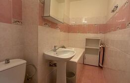 Apartament 42 mp, decomandat, balcon, pet friendly, Calea Manastur 