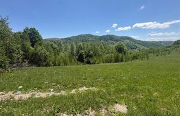 Teren Construibil - Muntele Baisorii, 1000 mp