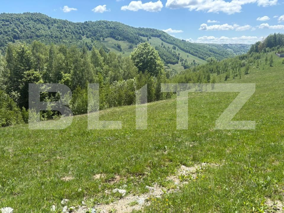 Teren de vânzare Muntele Băişorii - 196199TV | BLITZ Cluj-Napoca | Poza2