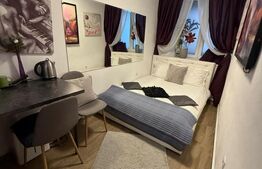 Garsoniera pentru investitie, 11 mp, zona Ultracentrala - Republicii
