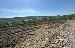 Teren extravilan de 5.100 mp la intrare în Chinteni – oportunitate excelentă 
