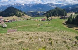 Oportunitate de Investiție – Teren Premium în Fundata, Brașov