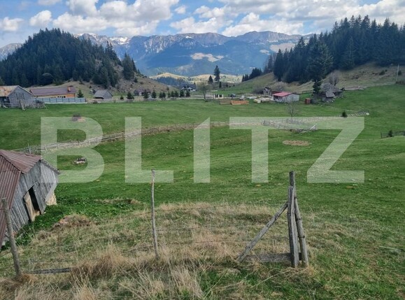 Teren de vânzare Fundata - 196272TV | BLITZ Brașov | Poza9