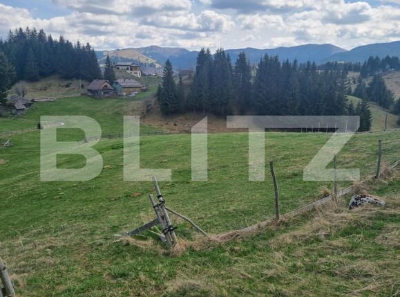 Teren de vânzare Fundata - 196272TV | BLITZ Brașov | Poza5