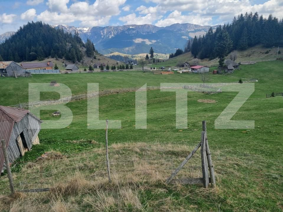 Teren de vânzare Fundata - 196272TV | BLITZ Brașov | Poza9