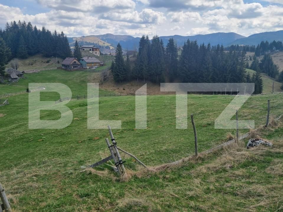 Teren de vânzare Fundata - 196272TV | BLITZ Brașov | Poza5