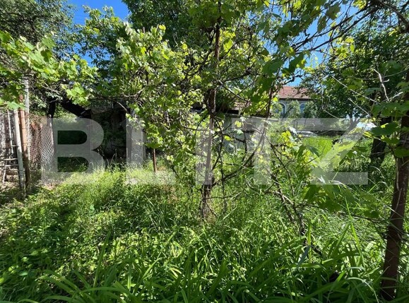 Casa de vânzare 3 camere Dambul Rotund - 196302CV | BLITZ Cluj-Napoca | Poza3