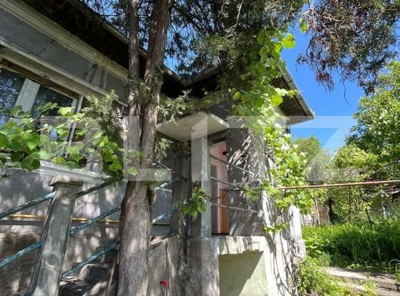 Casa de vânzare 3 camere Dambul Rotund - 196302CV | BLITZ Cluj-Napoca | Poza2