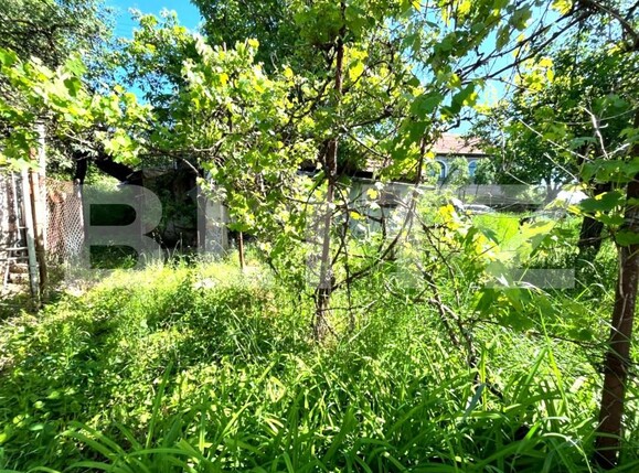 Casa de vânzare 3 camere Dambul Rotund - 196302CV | BLITZ Cluj-Napoca | Poza2