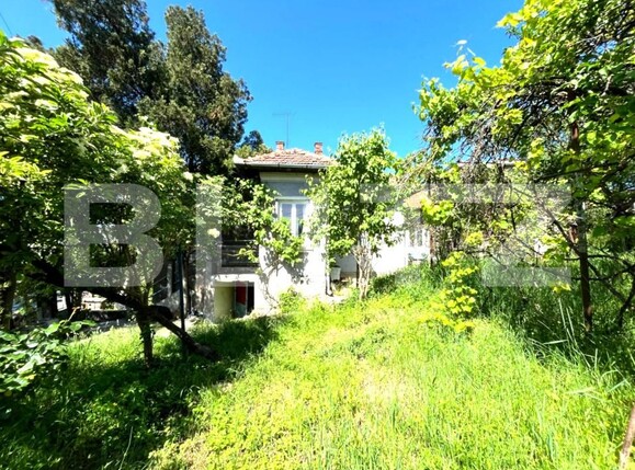 Casa de vânzare 3 camere Dambul Rotund - 196302CV | BLITZ Cluj-Napoca | Poza1