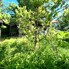 Casa de vânzare 3 camere Dambul Rotund - 196302CV - Poza 1 din 8 | BLITZ Cluj-Napoca | Poza1